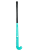 Gryphon Gator G24 Teal